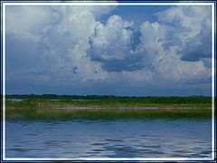 photo "***"