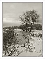 photo "Thaw"
