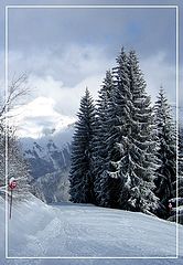 photo "23."