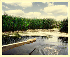 photo "ххх"
