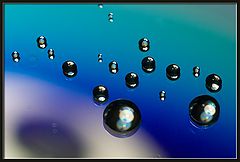 photo "drops (3)"