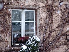 фото "Snow-fall.2"