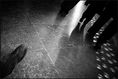 photo "untitled"