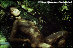 photo "Juliana lying on the tree trunk"