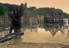 photo "in lake"