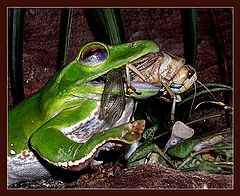 photo "I do not want to die!"