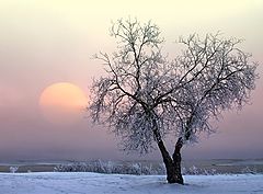photo "Untitled photo"