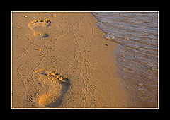 фото "the Trail"