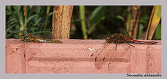 photo "Air station"