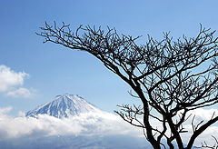 фото "View from Mount Onigatake"