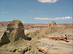 photo "65 millions of years after..."