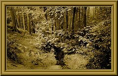 фото "КАРТИНА.(№2)"