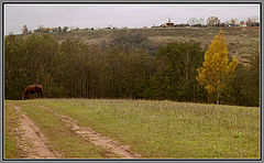 фото "Покой."