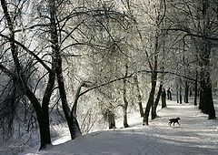 photo "Untitled photo"