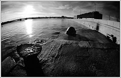 photo "Untitled photo"