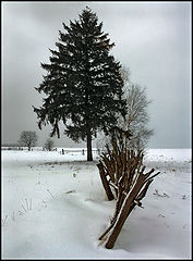photo "8-00"