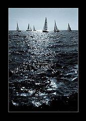 фото "REGATTA 2004 in Lithuania"