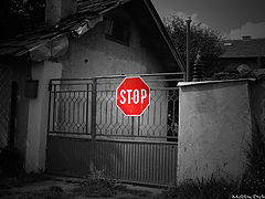 photo "STOP"
