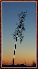 фото "Одиночество"
