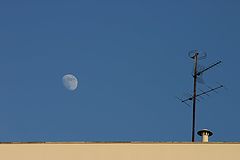 photo "Technology and nature"