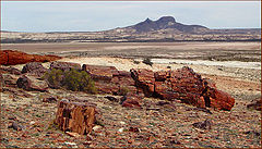 photo "lasting stony wood"