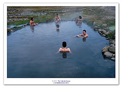 фото "life..."
