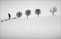фото "дворник"