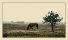 photo "хххх"
