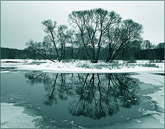 фото "Отражения 2"