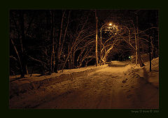 photo "An evening series - 2"