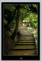 фото "The Road"
