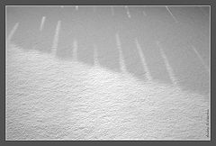 фото "Light & Shadow #001"