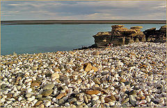 photo "the shell`s beach"