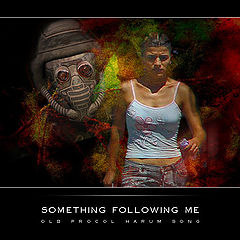 фото "Something following me"