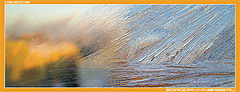 photo "Untitled photo"