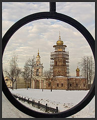 фото "Взгляд через ограду"
