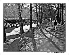 photo "Akademgorodok"