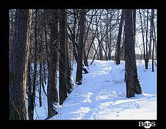 photo "February - footpath"
