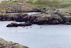 photo "Divers"
