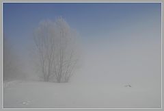фото "Туманные зарисовки 3"