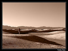 photo "Untitled photo"