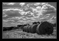 photo "grey landscape"