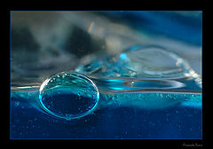 photo "Bubble"