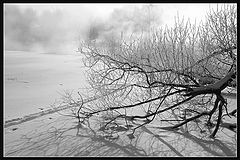 фото "Туманные зарисовки 4"