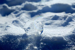photo "lite ice"