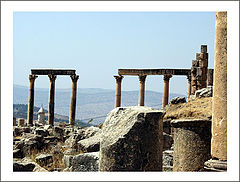 фото "the view"