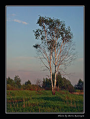 photo "Sunset lighting"