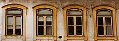 photo "Windows 4.01"