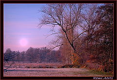 фото "De Maten Genk Belgium"