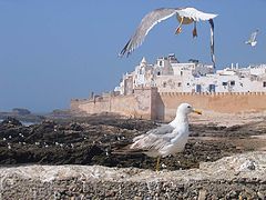 фото "Essauera fort"